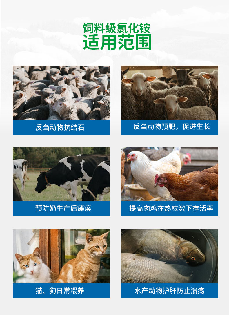 飼料級氯化铵适用範圍