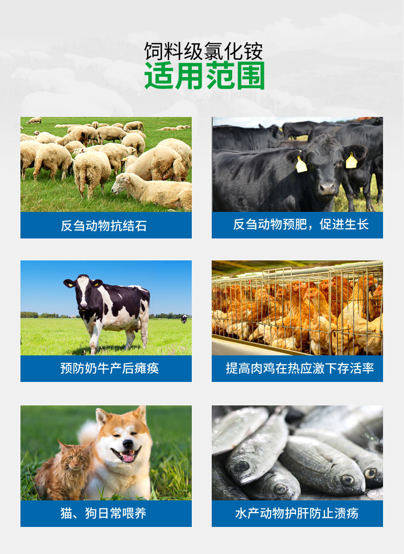%title插圖%num
